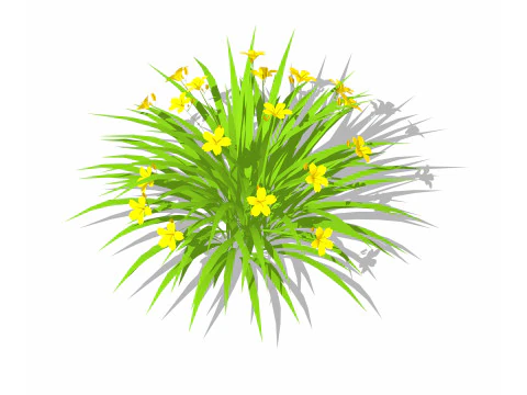 ヘメロカリス 3Dモデル