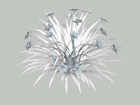 Hemerocallis 3D Model