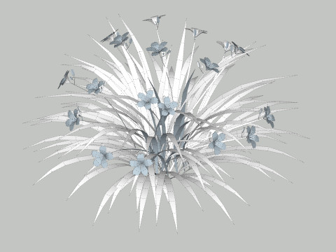 Hemerocallis 3D Model
