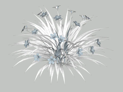 헤메로칼리스 3D 모델