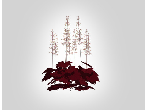 Heuchera purple - coral bells Modello 3D
