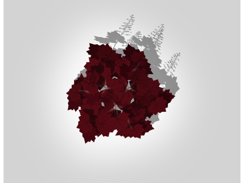 Heuchera purple - coral bells Modello 3D