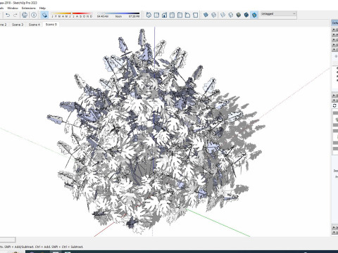 Hydrangea quercifoila-Oakleaf Hydrangea 3D Модель