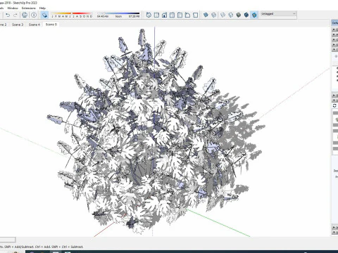 Hydrangea quercifoila-Oakleaf Hydrangea 3D Model