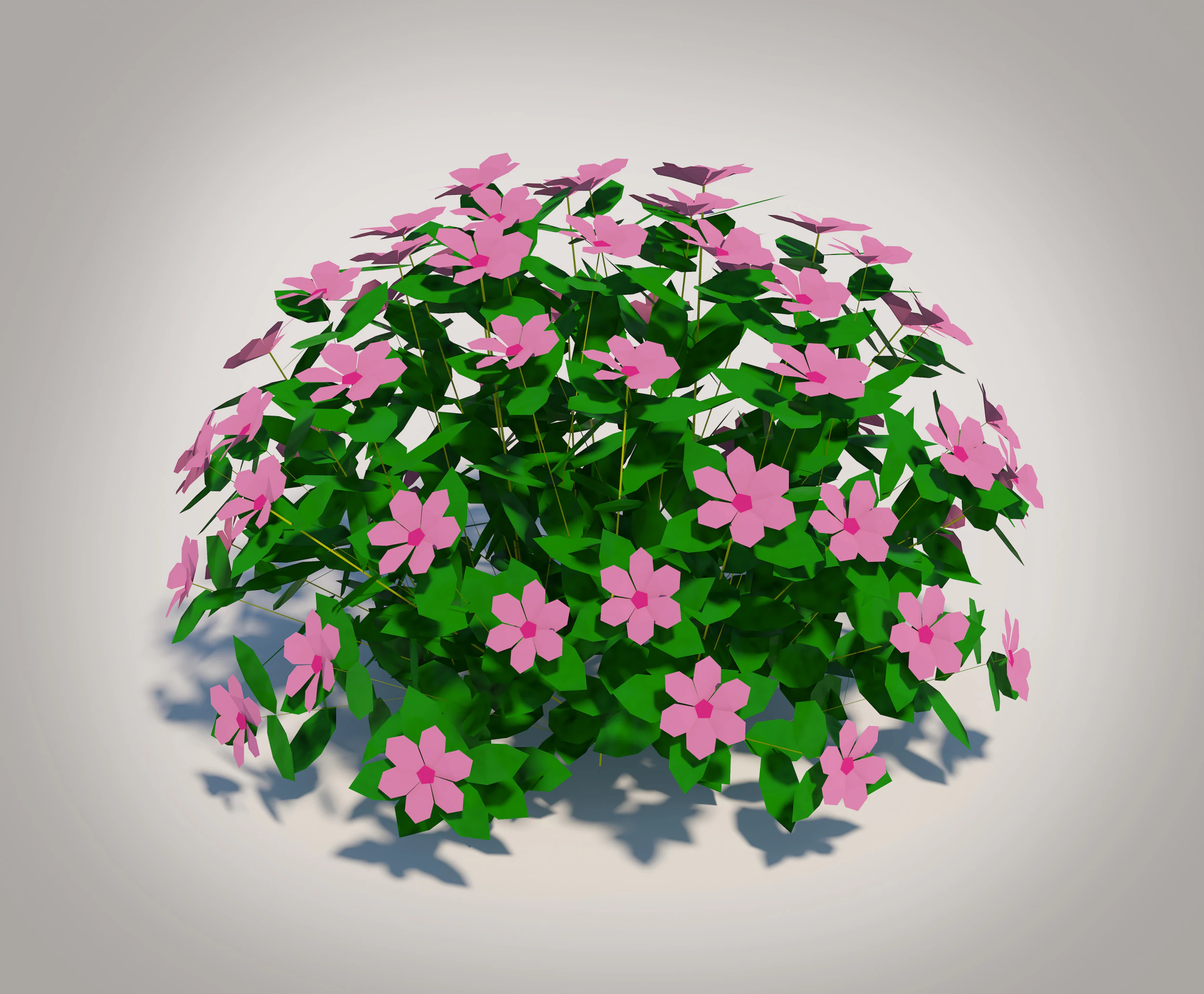 Impatiens-pink 3D Model .c4d .max .obj .3ds .fbx .stl .blend