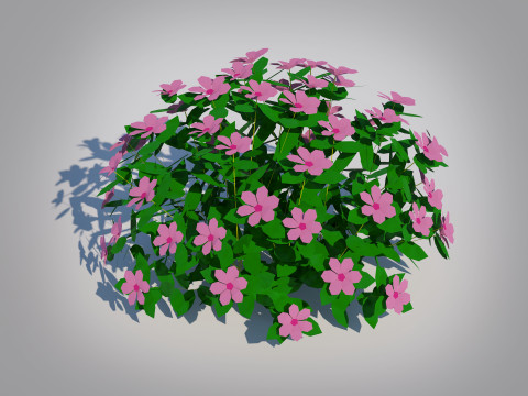 Impatiens-pink Modello 3D