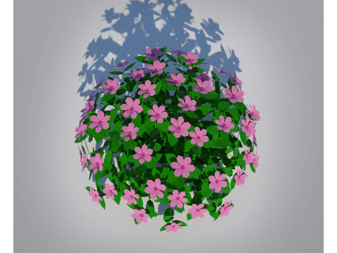 Impatiens-pink 3D Model