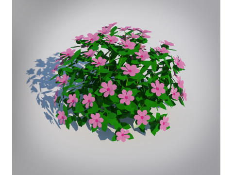 Impatiens-pink Modello 3D