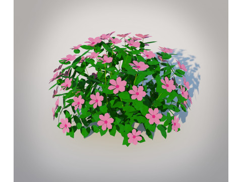 Impatiens-pink Modello 3D