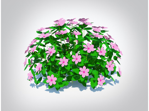 Impatiens-pink Modello 3D