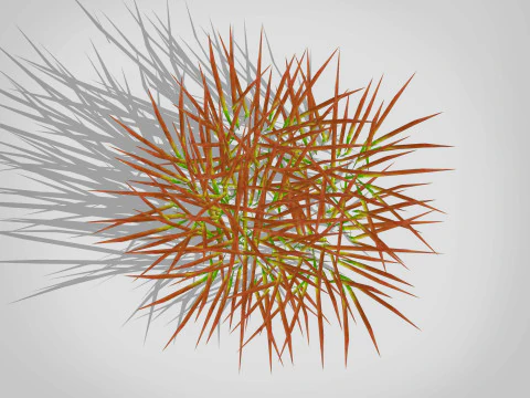 Imperata-Japanese Blood Grass 3D Model
