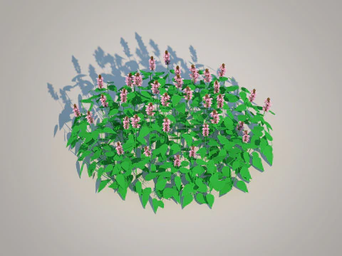 Lamium maculatum-deadnettle 3D Model