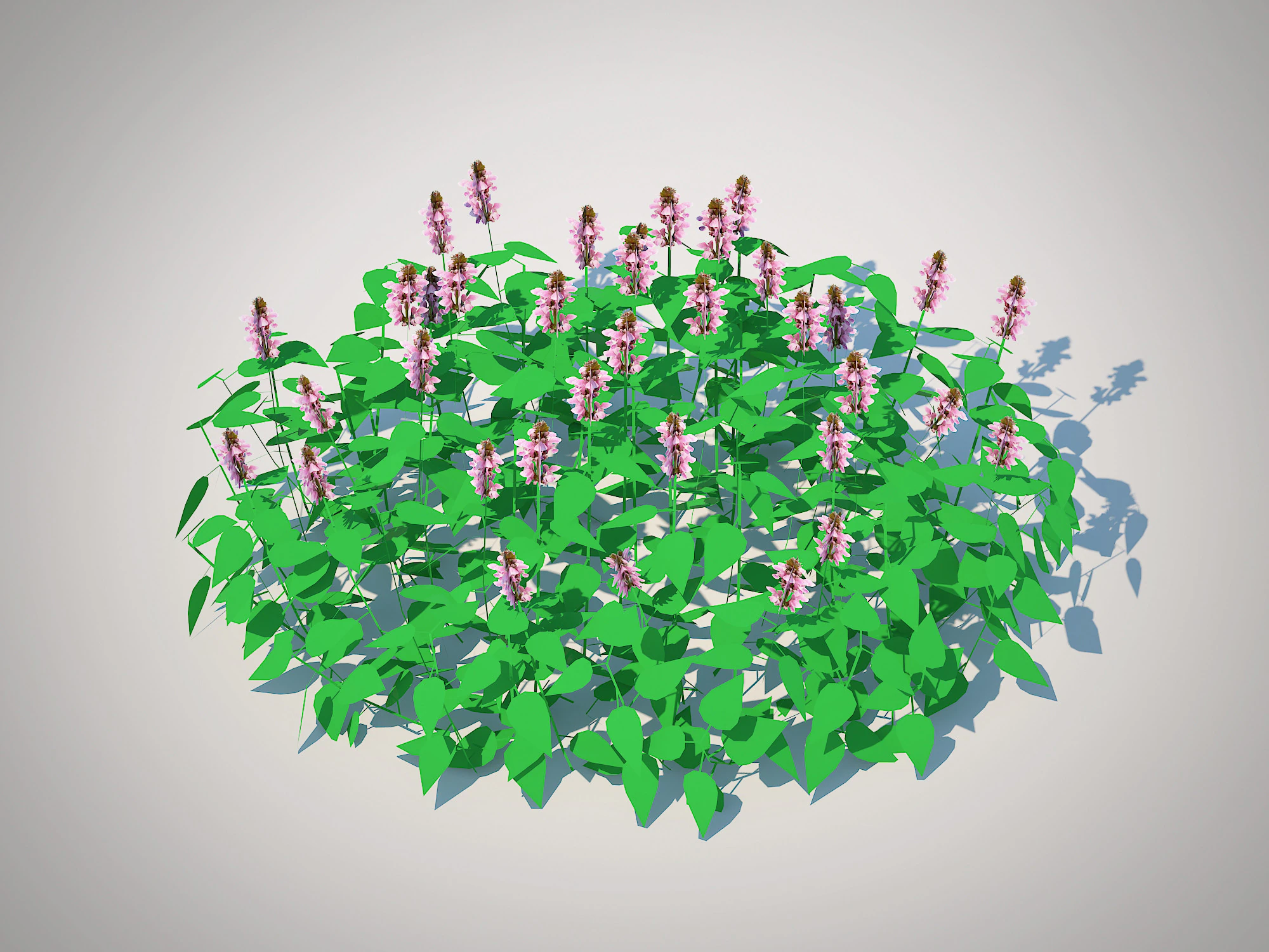 Lamium maculatum-deadnettle 3D Model .c4d .max .obj .3ds .fbx .stl .blend 