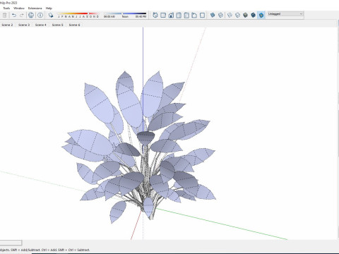 Aglaonema commutatum 3D Model