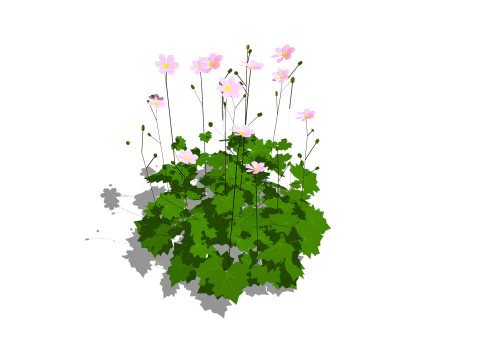 An&ecirc;mona h&iacute;brida Modelo 3D