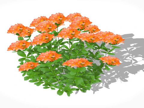 Azalea Oranje 3D Model