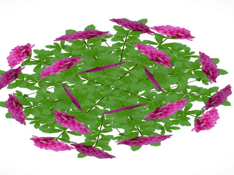 Azalea Pink 3D Model