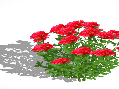 Azalea Red Modèle 3D