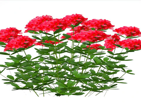 Azalea Red 3D Model