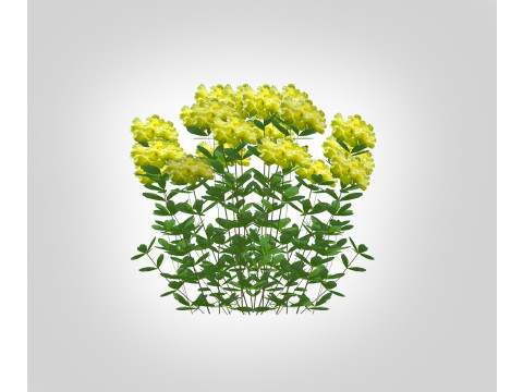 Azalea Yellow 3D Model