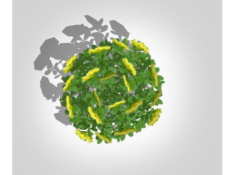 Azalea Yellow 3D Model