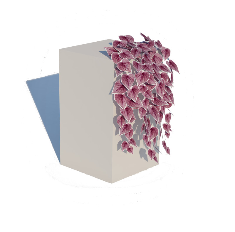 Ipomoea-Sweet Potato Vine 3D 模型 .c4d .max .obj .3ds .fbx .stl .blend