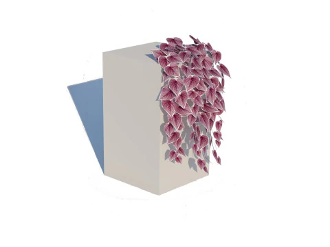 나팔꽃-고구마덩굴 3D 모델