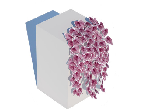 Ipomoea-Sweet Potato Vine 3D 模型