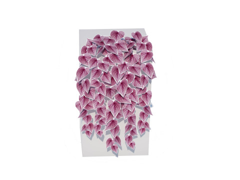 Ipomoea-Sweet Potato Vine 3D 模型