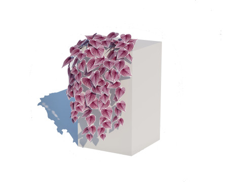 Ipomoea-Sweet Potato Vine 3D 模型
