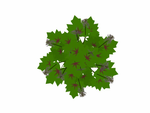 Tiarella-foam flower 3D Model
