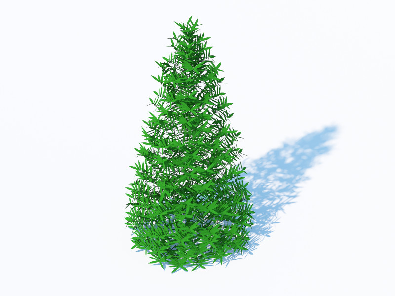 Taxus Media-Pyramidal Model 3D .c4d .max .obj .3ds .fbx .stl .blend