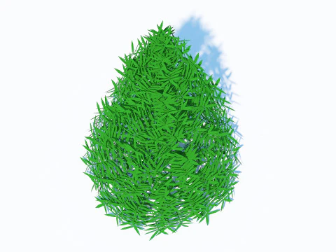 Taxus Media-Pyramidal 3D Model