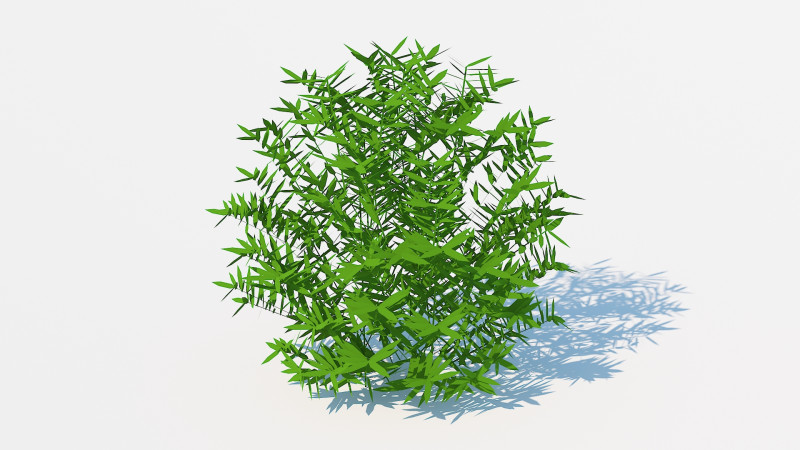 Taxus Media-Round Modelo 3D .c4d .max .obj .3ds .fbx .stl .blend