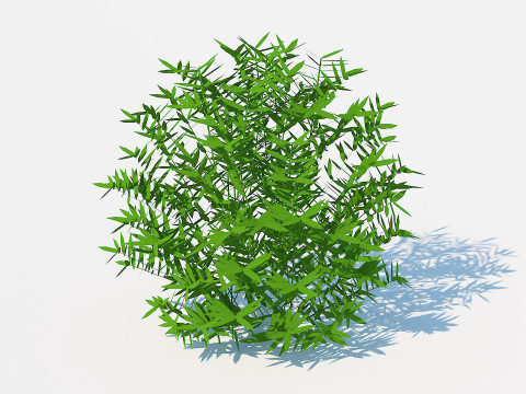 Taxus Media-Round Modelo 3D