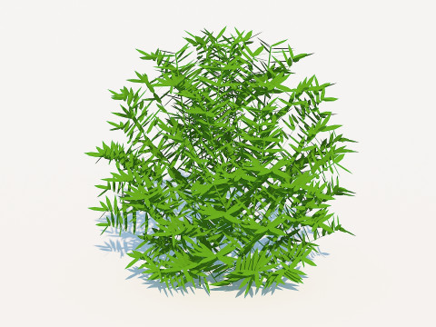 Taxus Media-Round Modelo 3D