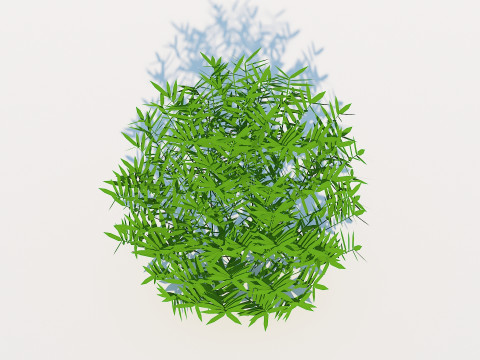 Taxus Media-Round Modelo 3D