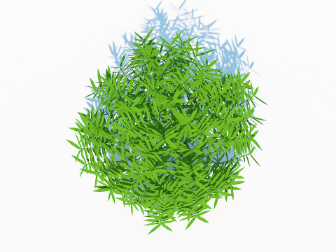 Taxus Media-Round Modelo 3D