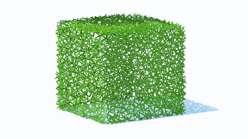 Taxus Media-Square 3D Model .c4d .max .obj .3ds .fbx .stl .blend