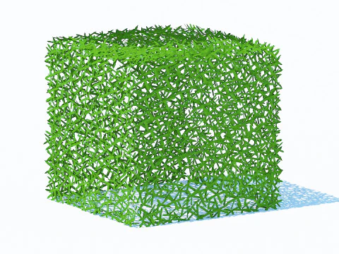 Taxus Media-Square Model 3D