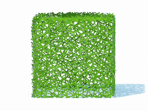Taxus Media-Square 3D Model