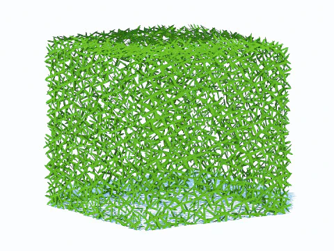 Taxus Media-Square 3D Model