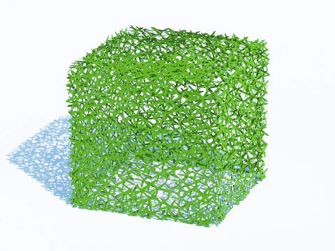 Taxus Media-Square 3D Model
