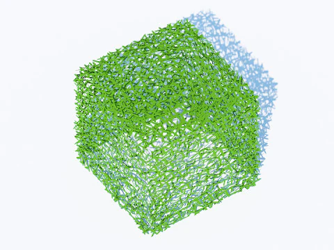 Taxus Media-Square 3D Model