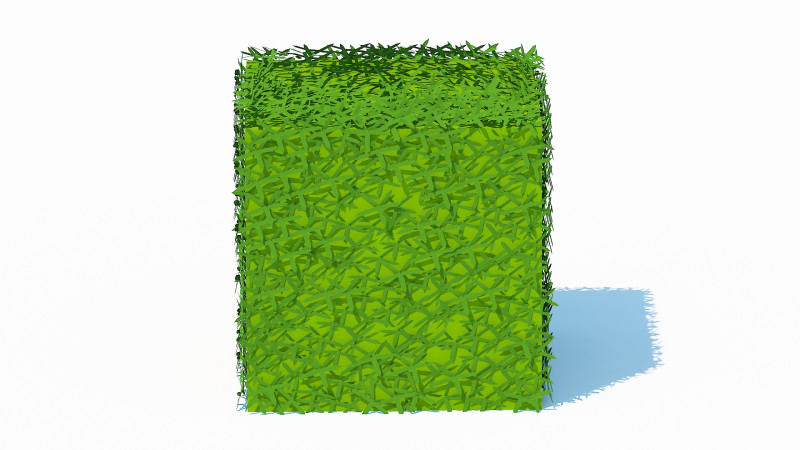 Taxus Media-Square 3Dモデル .c4d .max .obj .3ds .fbx .stl .blend