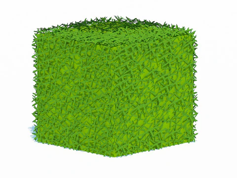 Taxus Media-Square 3D Model