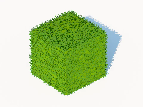 Taxus Media-Square 3D Model