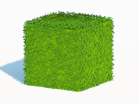 Taxus Media-Square 3D Model
