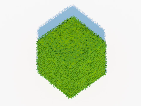 Taxus Media-Square 3D Model