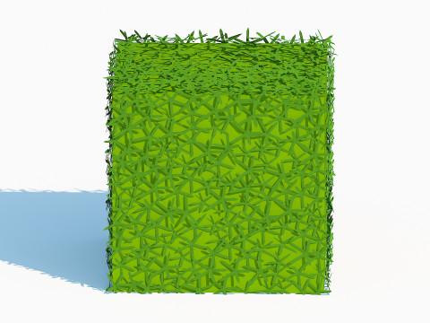 Taxus Media-Square Modelo 3D
